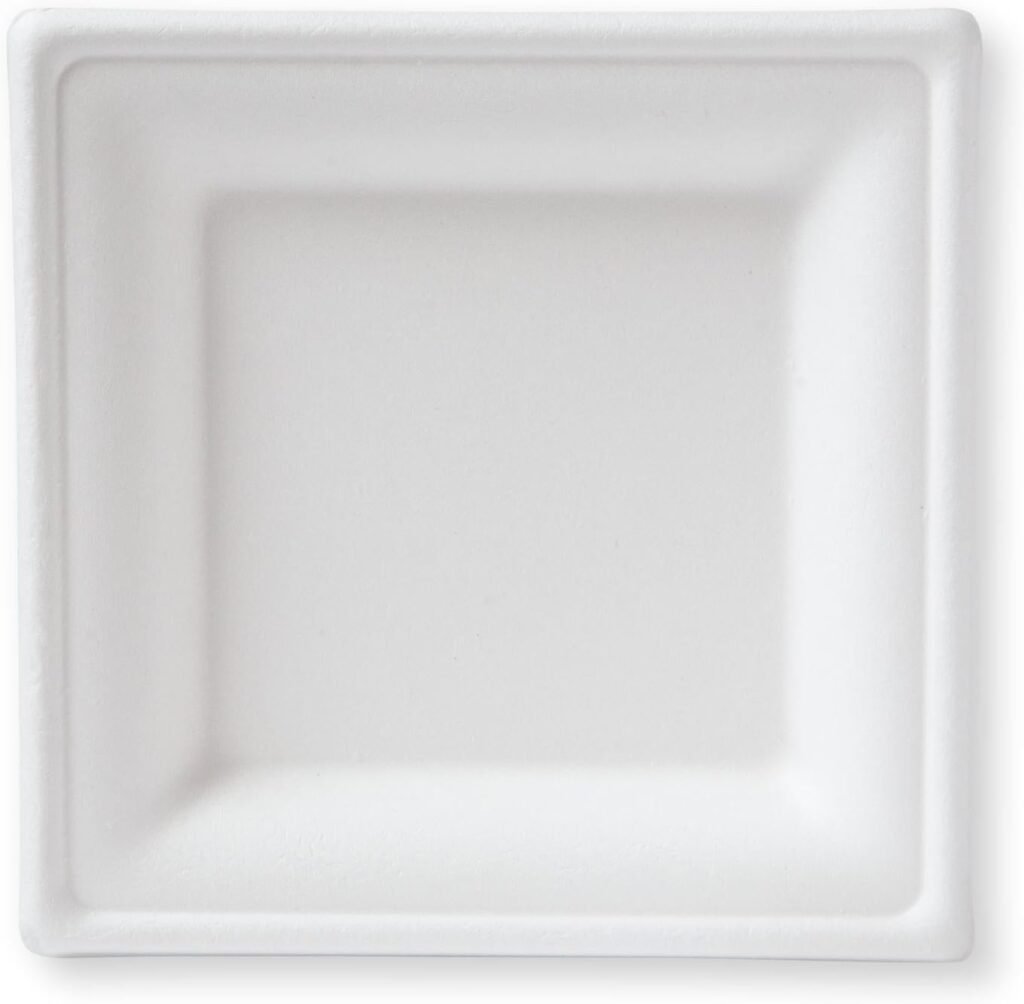 Eco-Friendly Dining: Review of Susty Party Biodegradable Square Plates