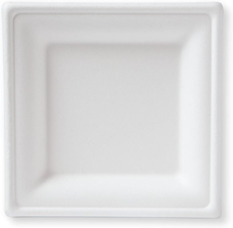 Eco-Friendly Dining: Review of Susty Party's Compostable Square Plates