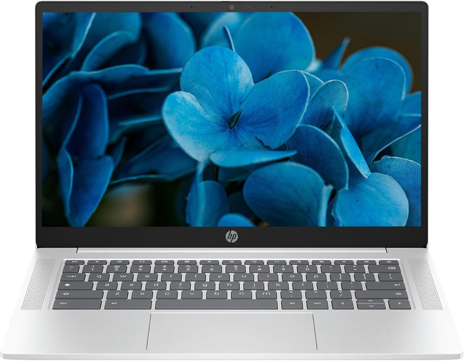 HP 2025 Chromebook Review: Lightweight Power Meets Stunning Display