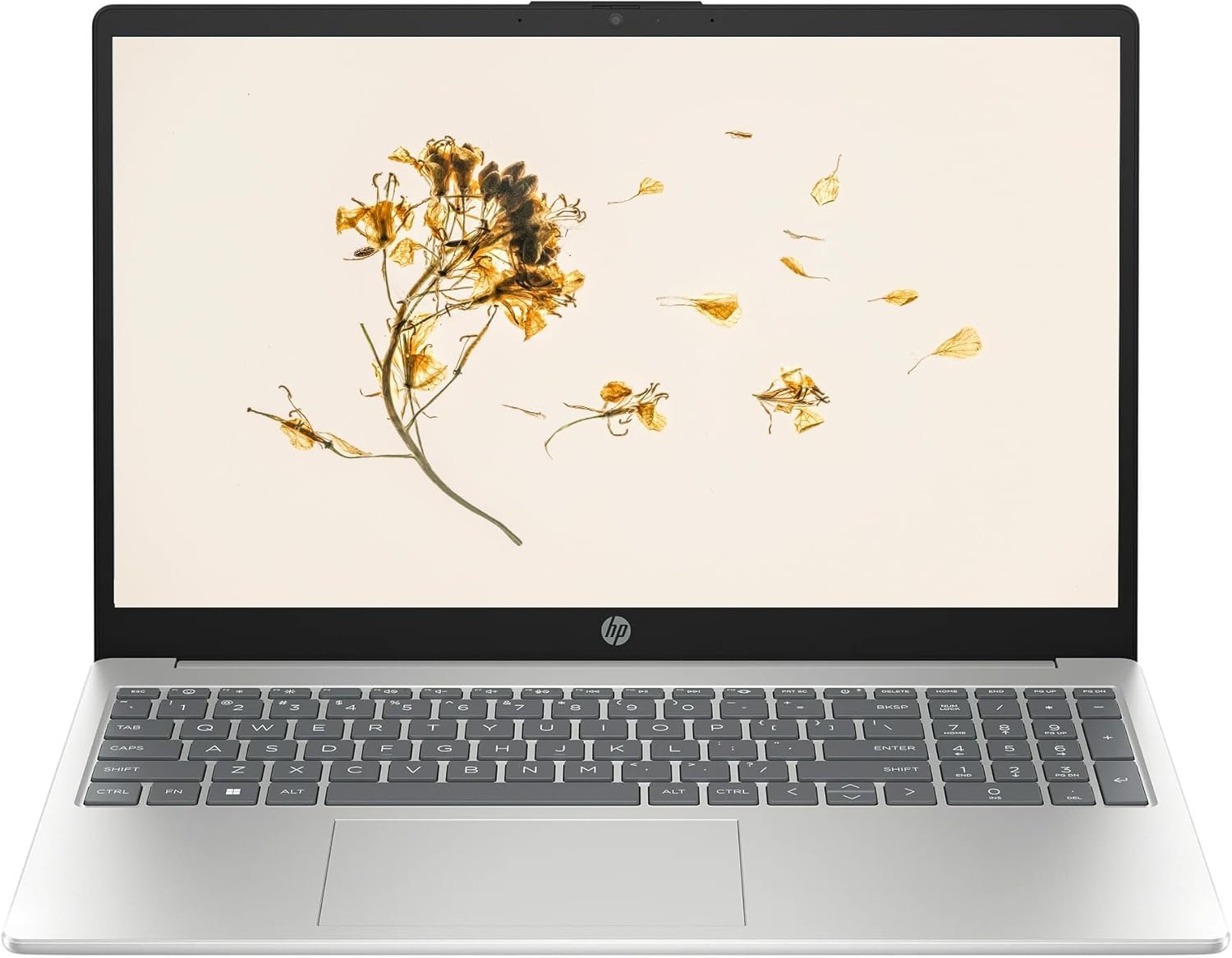 Revamp Your Productivity: HP Lightweight 15.5'' Laptop Review