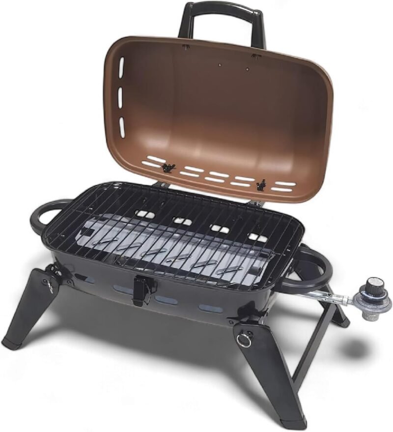 Sizzle Anywhere: Review of the GasOne Portable Propane Grill