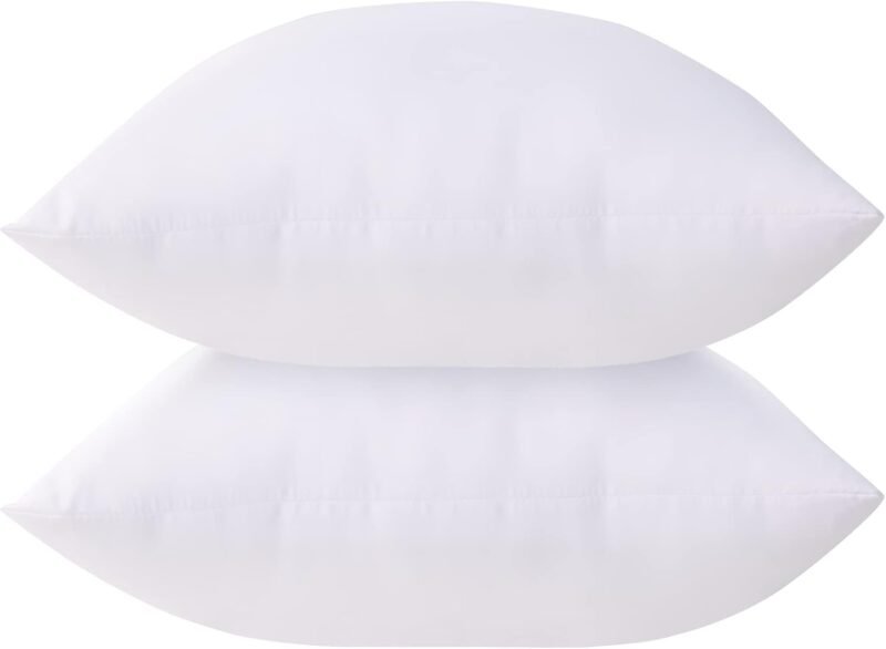 Elevate Your Decor: Acanva 20x20 Decorative Throw Pillow Inserts Review