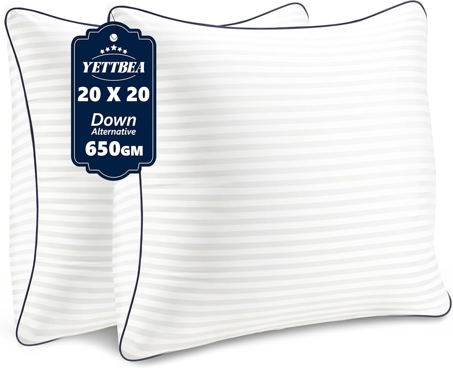 Elevate Your Decor: Review of 20'' x 20'' Down Alternative Throw Pillow Inserts