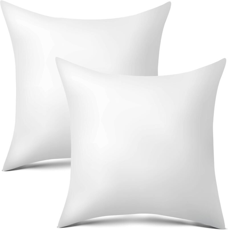 Elevate Your Decor: Review of raajsee 20x20 Throw Pillow Inserts for Ultimate Comfort