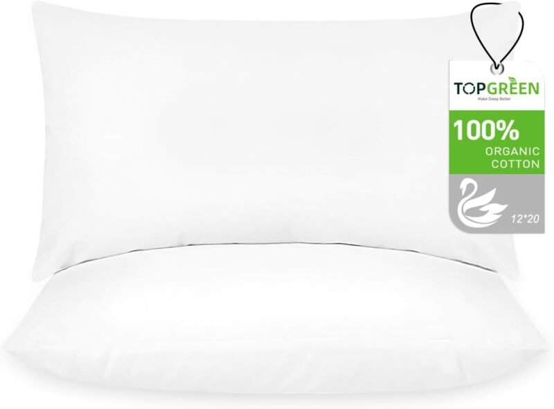 Elevate Your Home Decor: Review of Feathers Down Throw Pillow Inserts