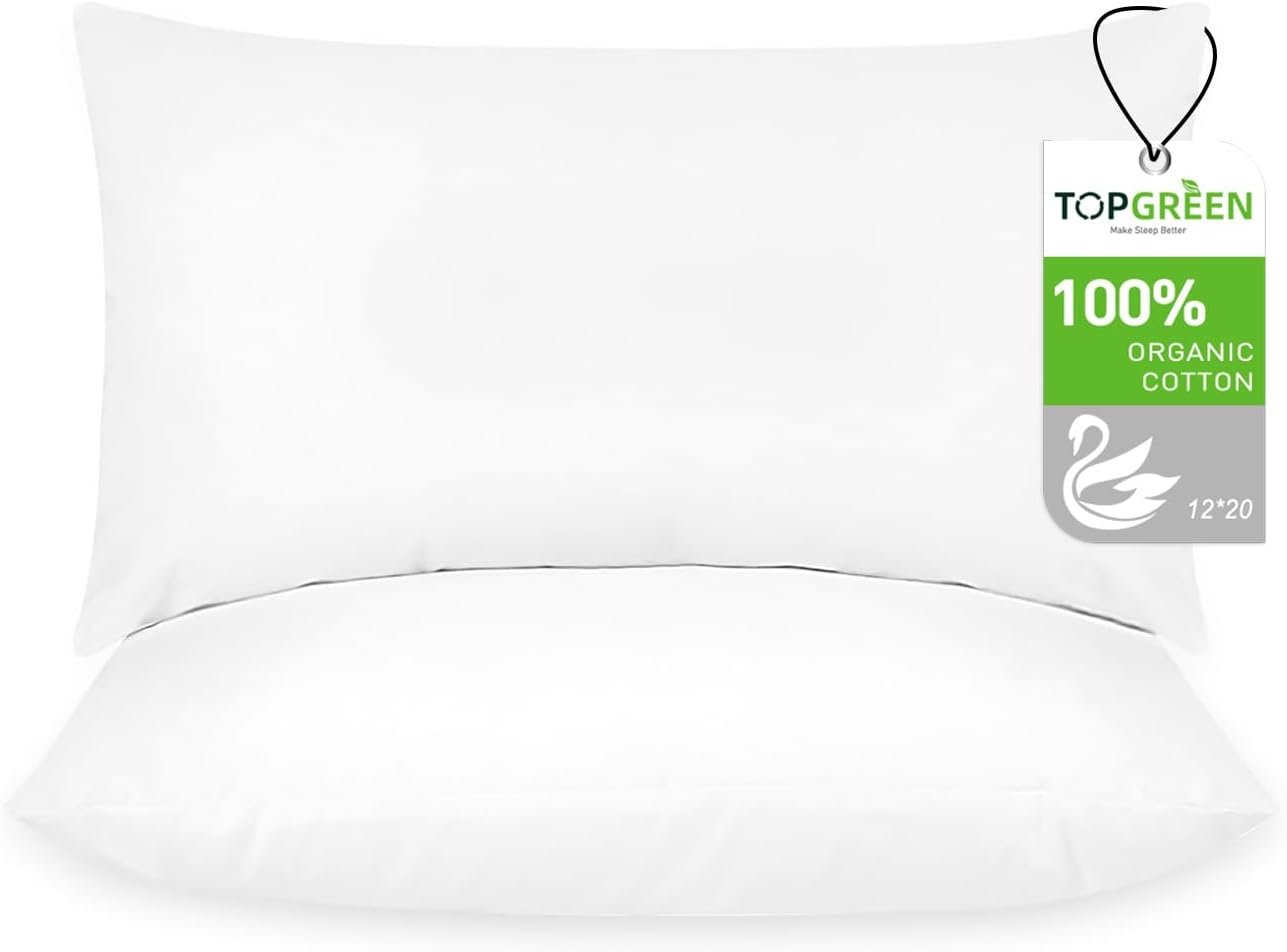 Elevate Your Home Decor: Review of Feathers Down Throw Pillow Inserts