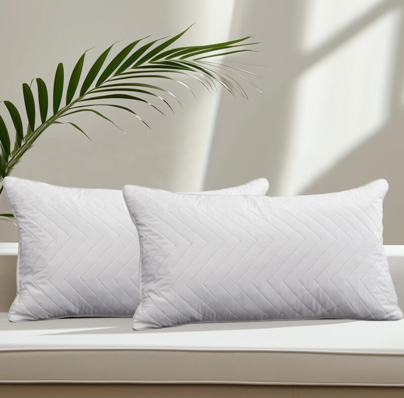 Elevate Your Space: Bafode Goose Feathers Throw Pillow Inserts Review