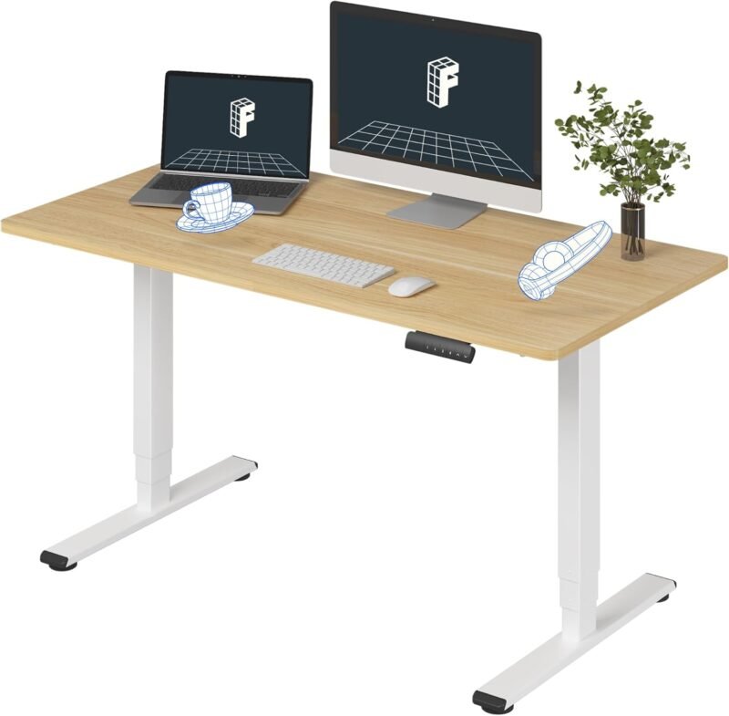 Elevate Your Workspace: FLEXISPOT E6 Electric Standing Desk Review