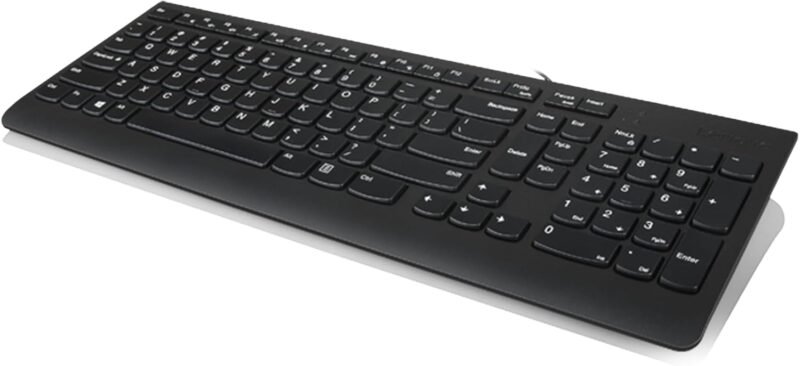 Ergonomic Comfort: A Review of the Lenovo 300 USB Keyboard