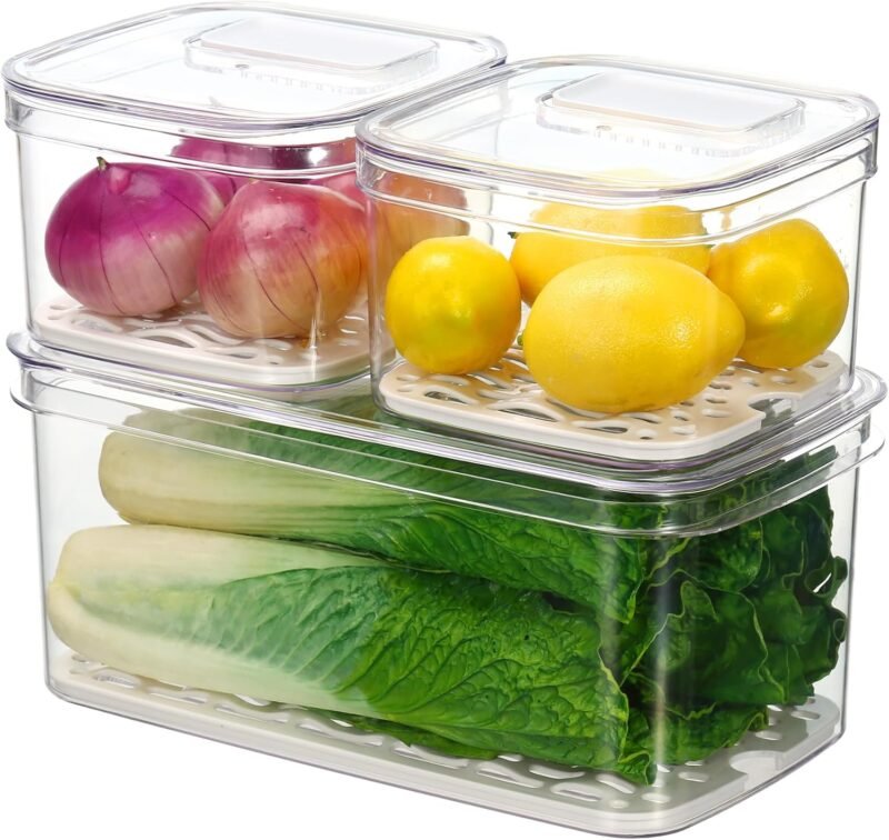 Freshness Revolution: The Felli Veggie Keeper Container Review