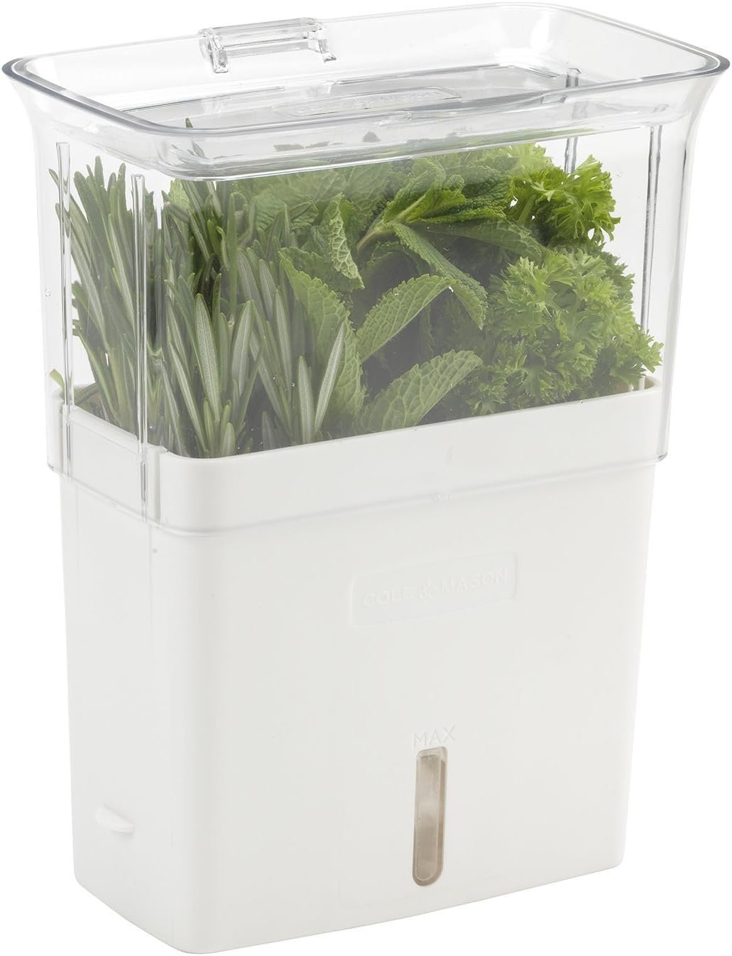 Keep Your Herbs Fresh: The Ultimate Cole & Mason Herb Keeper Review