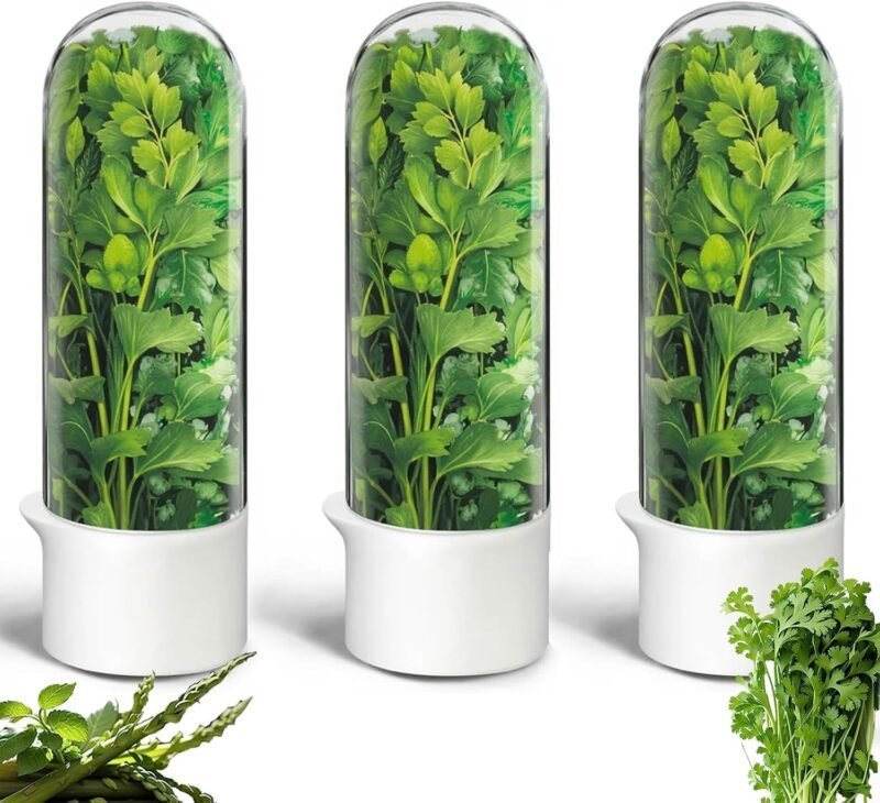 Keep Your Herbs Fresh: The Ultimate Herb Saver Pod Review