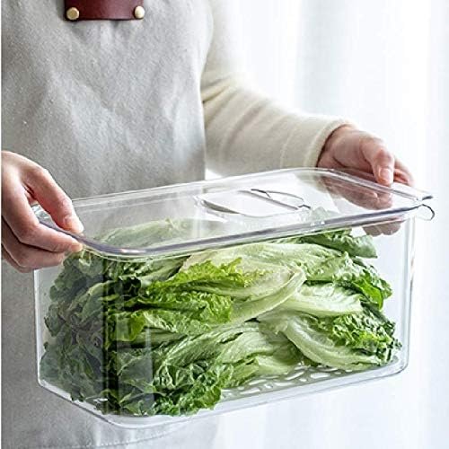 Maximize Freshness: Slideep Refrigerator Food Storage Containers Reviewed!