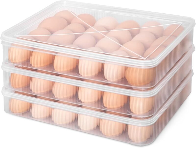 Maximize Freshness: The Ultimate Deviled Egg Container for Kitchen Organization