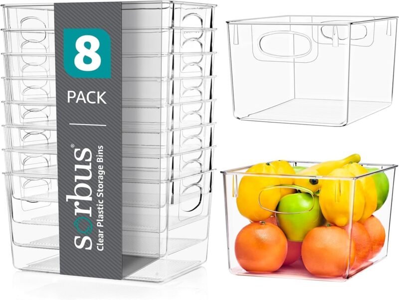 Maximize Your Space: Top Reviews of Sorbus Clear Storage Bins!