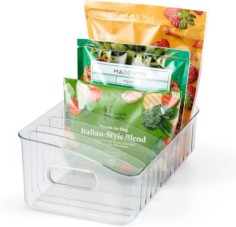 Revolutionize Your Freezer: YouCopia FreezeUp Bin Review & Tips