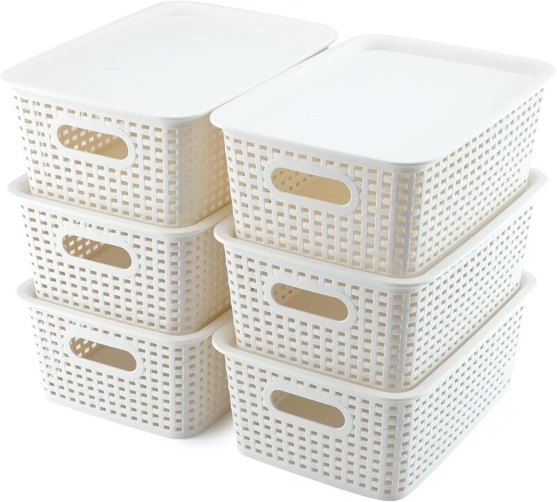 Transform Your Space: AREYZIN 6-Pack Lidded Storage Baskets Review