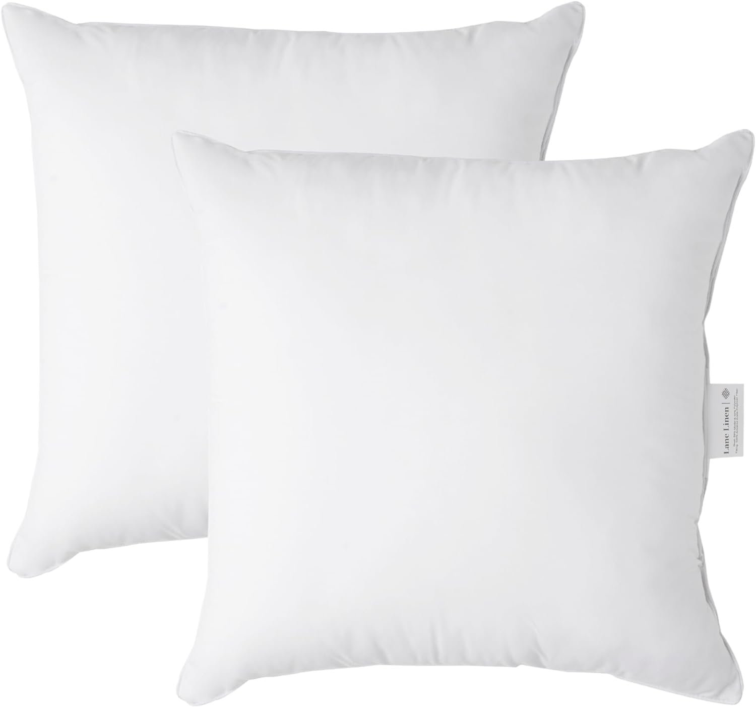 Transform Your Space: LANE LINEN 20x20 Pillow Inserts Review