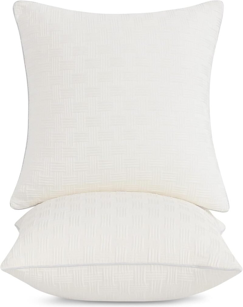 Transform Your Space: Leeden 20x20 Pillow Inserts Review