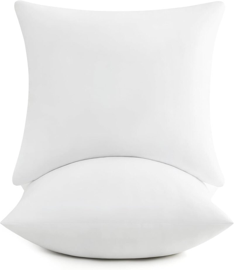 Transform Your Space: Review of puredown® 20x20 Fluffy Pillow Inserts