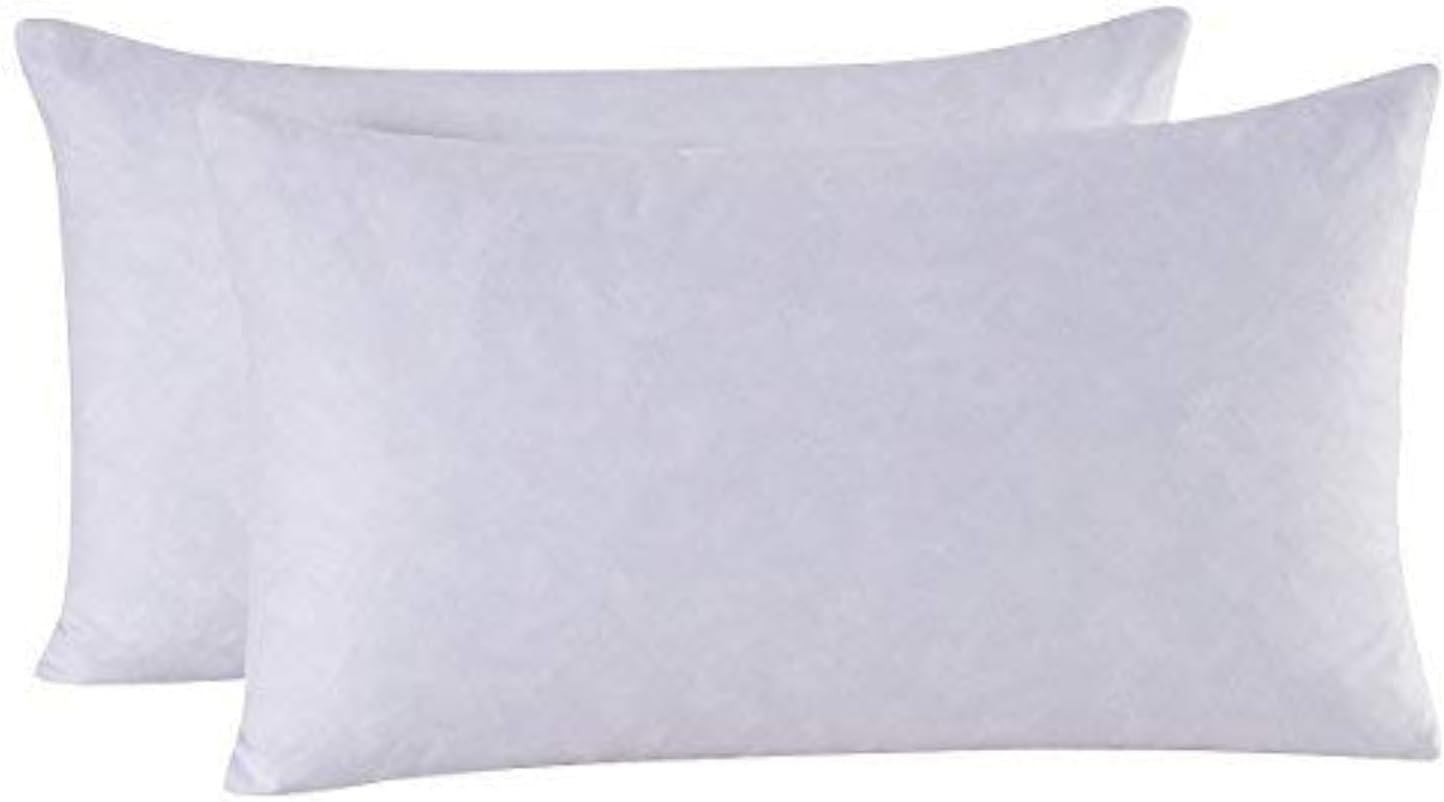 Transform Your Space: Review of the 95% Feather Decorative Throw Pillow Inserts