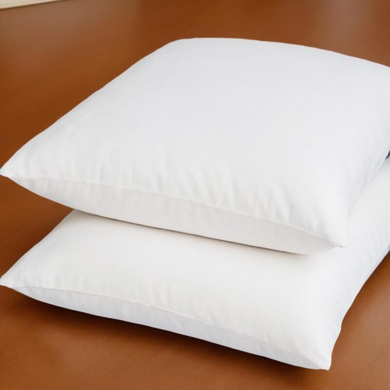 Ultimate Comfort: Review of 20x20 Down Alternative Throw Pillow Inserts